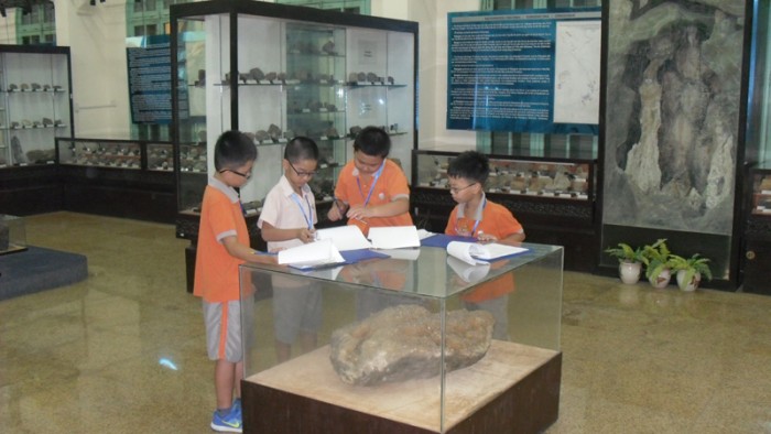 Geological Museum Excursion